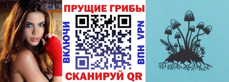 Галлюциногенные грибы Psilocybine cubensis  купить наркотик  Красково 