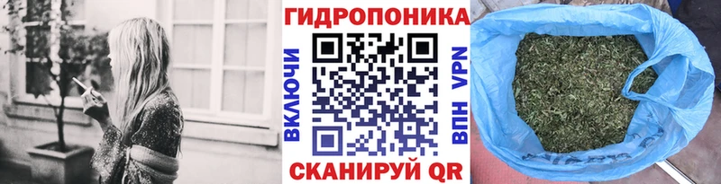 Бошки марихуана OG Kush  даркнет сайт  Красково 